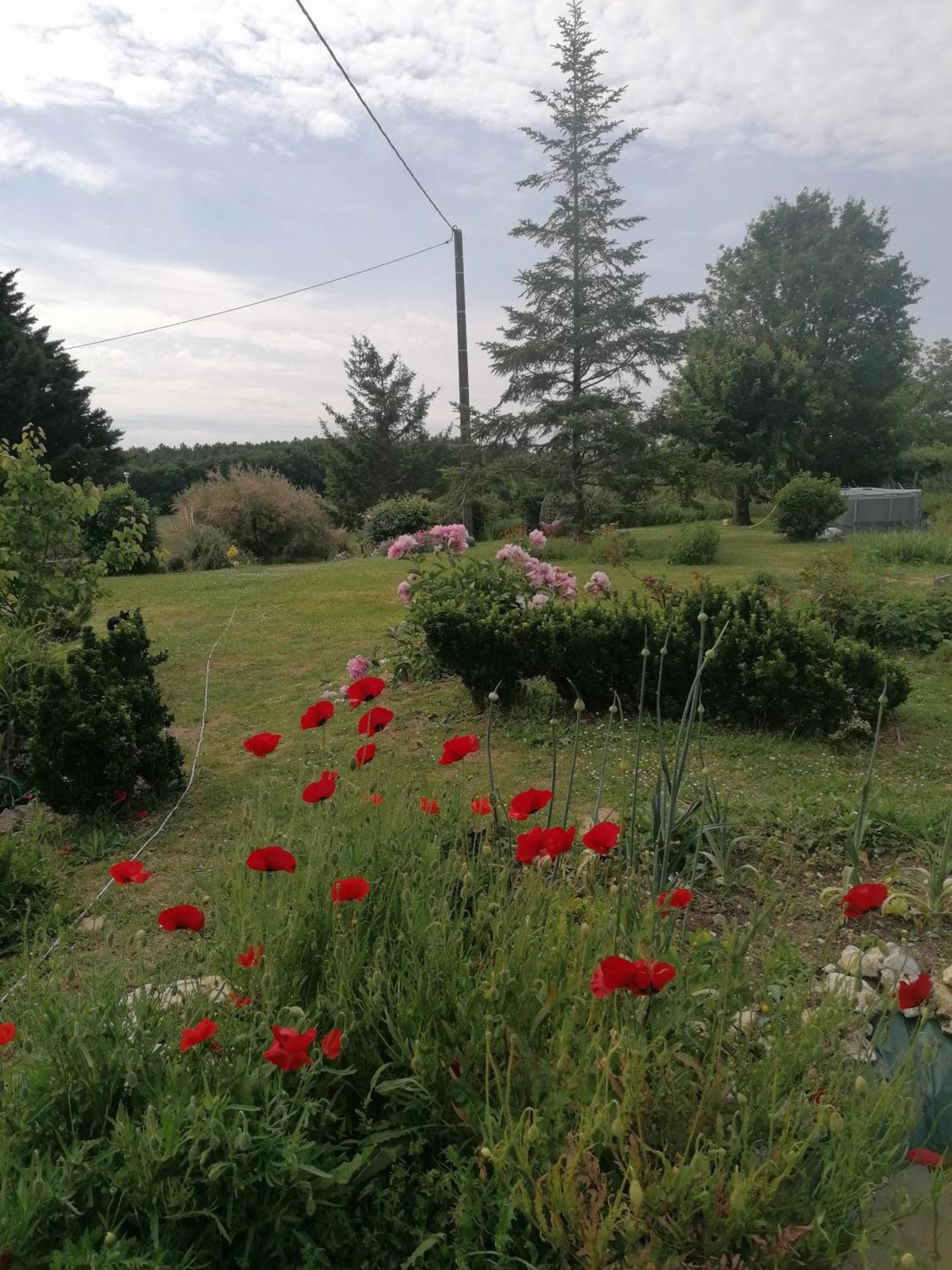 Charmante Maison, Calme Et Nature A La Roche Posay Villa Exterior photo