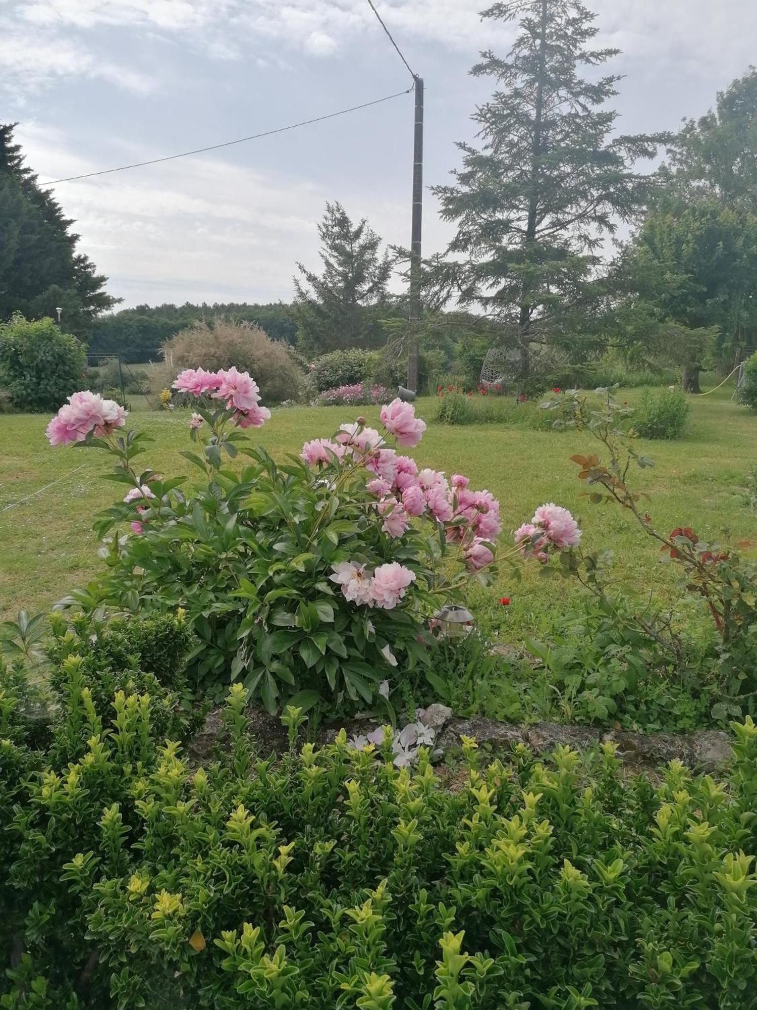 Charmante Maison, Calme Et Nature A La Roche Posay Villa Exterior photo