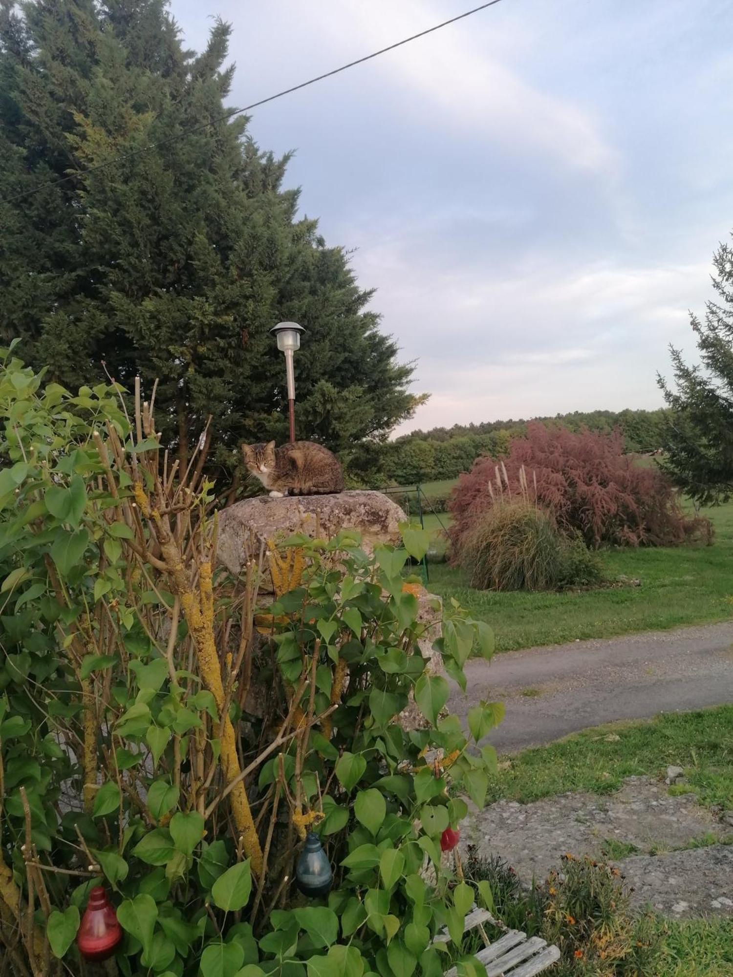 Charmante Maison, Calme Et Nature A La Roche Posay Villa Exterior photo